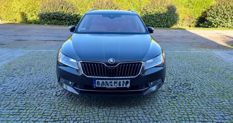 skoda kostrzyn nad odrą Skoda Superb cena 79900 przebieg: 210000, rok produkcji 2017 z Kostrzyn nad Odrą